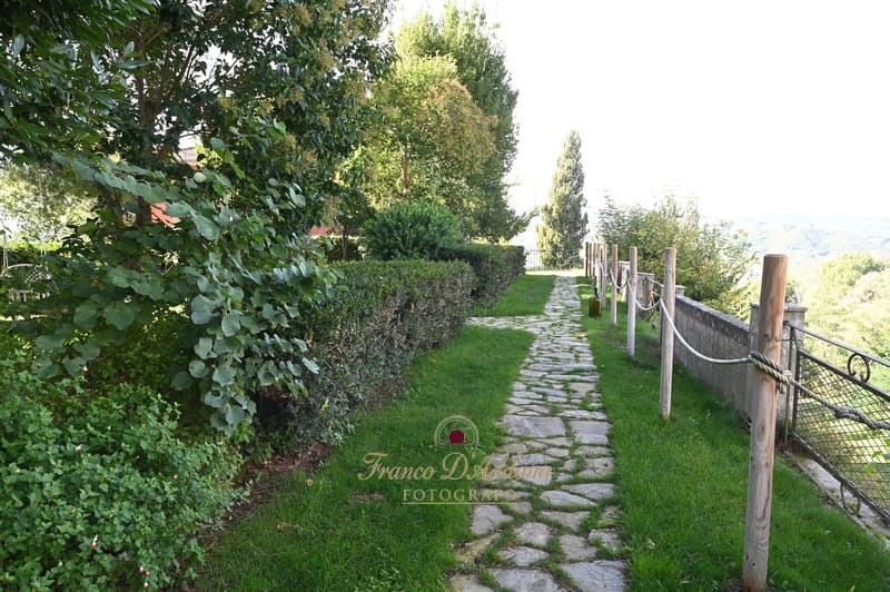 Sentiero immerso nel verde intorno a Baselice